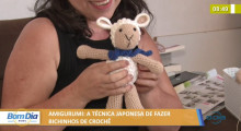 Amigurumi: Técnica japonesa de fazer bichinhos de crochê 12 01 2022