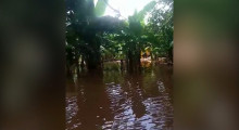 Produtores rurais de Palmeirais tiveram plantações alagadas e fazem apelo a autoridades 15 01 2022