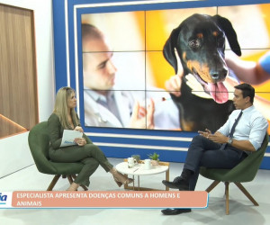 TV O Dia - Especialista apresenta doenças comuns a homens e animais 26 09 2022