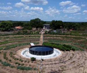 TV O Dia - Famílias da zona rural de Castelo do Piauí recebem sistema integrado de agricultura 03 12 2022