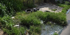 Agentes encontram 615 focos de dengue espalhados em 6 bairros de Teresina