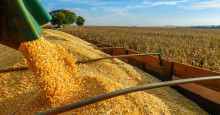 Piauí quer aumentar em 30% produtividade agrícola