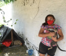 Moradora constrói abrigo improvisado para gatos abandonados no Bela Vista