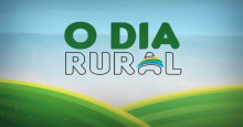 Programa O DIA Rural comemora um ano enaltecendo a vida no campo e agronegócio no Piauí
