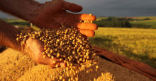 Ministério prevê R$ 14 bilhões de arrecadação com produção agropecuária no Piauí em 2022