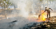 Um ano após incêndio na Serra da Capivara, apicultores acumulam prejuízos