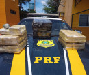PRF apreende 50 kg de maconha dentro de ônibus na cidade de Picos
