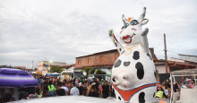 Bloco do Paçoca e Vaca Atolada levam animação e inclusão para as ruas de Teresina