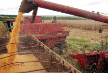 Em 2023, o Piauí terá o sétimo ano seguido de recorde na produção de grãos