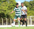 Campeonato Piauiense: FFP define datas das semifinais do Estadual; saiba