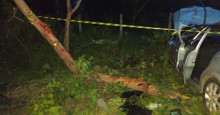 Idoso morre após carro colidir em árvore na BR-343, em Floriano