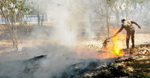 Ministério do Meio Ambiente decreta emergência ambiental e risco de incêndio no Piauí