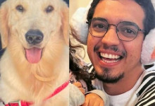 No Piauí, cadela que sumiu após morte de médico volta ao local do acidente e é encontrada