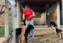 Em Teresina, protetora que cuida de 160 animais pede ajuda para manter abrigo