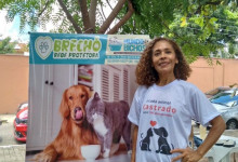 Protetores independentes de Teresina vendem camisas para ajudar animais de rua