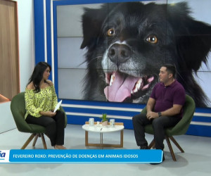 TV O Dia - Fevereiro Roxo: Prevenção de doenças em animais idosos 06 02 2023